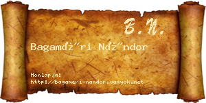 Bagaméri Nándor névjegykártya