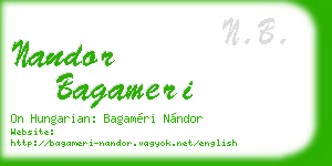 nandor bagameri business card