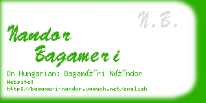 nandor bagameri business card